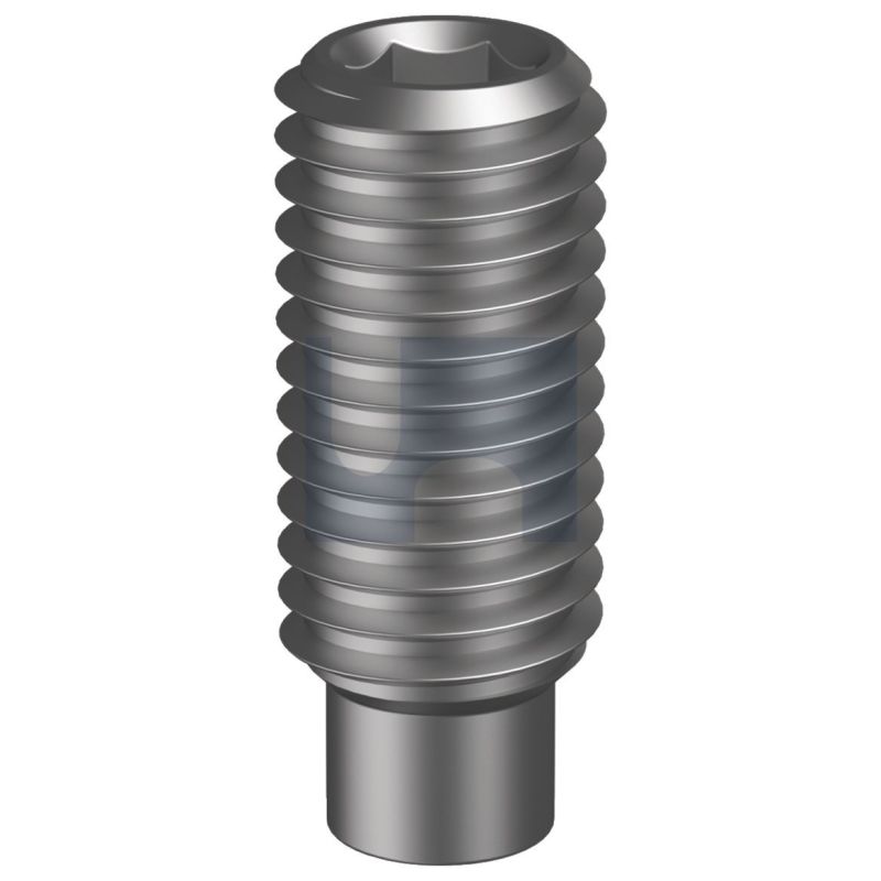 Dog Point Socket Set Screw CL14.9 Pln M5x10mm - 5X10MDPSSS| Konnect ...