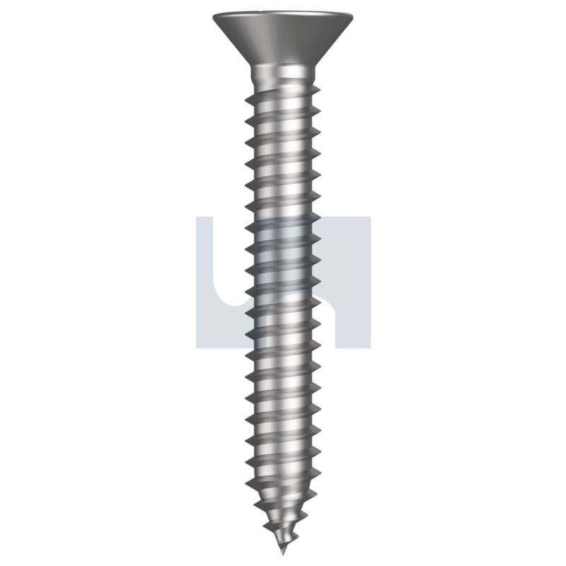 Phillips Countersunk Head Self Tapping Screw G304/A2 12x3/4 ...