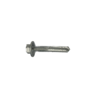 Steeltite Series 500 CL 5 Hex Head  12-24 x 32mm