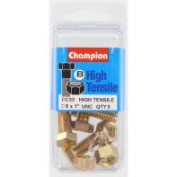 Champ 3/8x1.UNC Setscrews & Nuts Gr5 ZP (Pack 5)