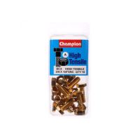 Champ 1/4x3/4 UNC Setscrews & Nuts Gr5 ZP (Pack 10)