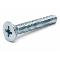 Csk Head Pozi Dr (1A) Machine Screw ZP M3x10mm