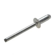 All Steel Truss Head Rivet 4-1