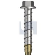 10x105 316 screw bolt
