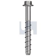 Screwbolt X-Bolt Pro R1000 E1F Hex Head M10X65mm