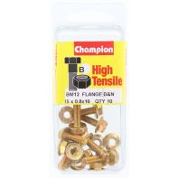 Hex Flange Nut GR8.8 ZP Champion 14AF M10-1.25P (10)
