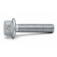 HDG 4.6 SERR FL BOLT:M20 X 60