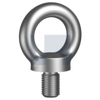 Eye Bolt with Collar Stainless Steel G316 M6