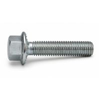 Hex Head Serrated Flanged Bolt CL4.6 ZP 20x55mm