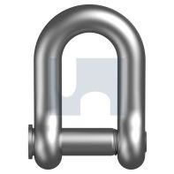 Dee Shackle Internal Hex Pin G316/A4 M8