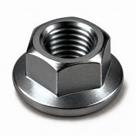 Flanged Nut 20M