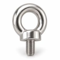Eye Bolt with Collar Stainless Steel G316 M10
