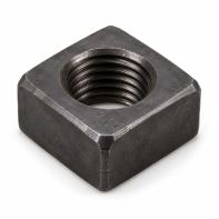 Track Square Nut Pln M14