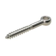 Lag Screw Eye Stainless Steel G316 M10