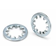 Lock Washer INT Tooth Washer ZP 1"