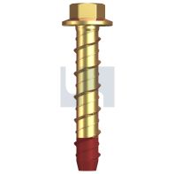 XBolt Screw Anchor Hex ZP M5x30mm