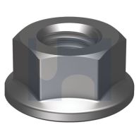 Hex Flanged Nut Class 10 M24