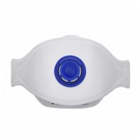 Flat Fold P2 Respirator with Valve (Pack 10)