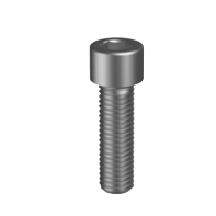 Socket Head Cap Screw CL12.9 Pln M12x20mm