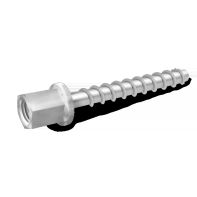 Rawlplug R-LX Contrete Screw Anchor Internal Thread M10 Zinc Plated M6 x 55mm