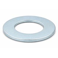 716x1.14ZPEW  Mudguard Washer Zinc Plated